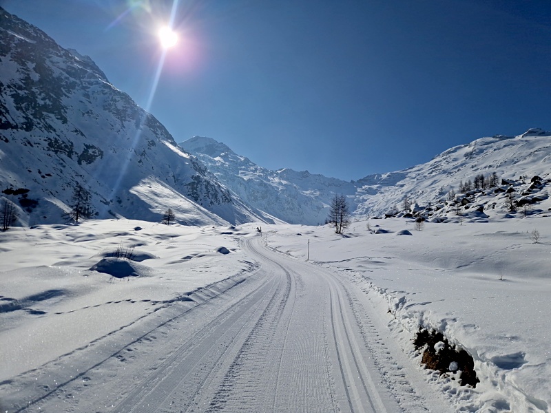 Piz
