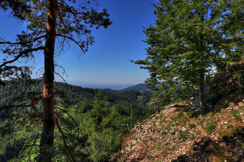 Belchen