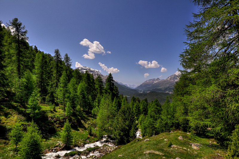 Schlarigna