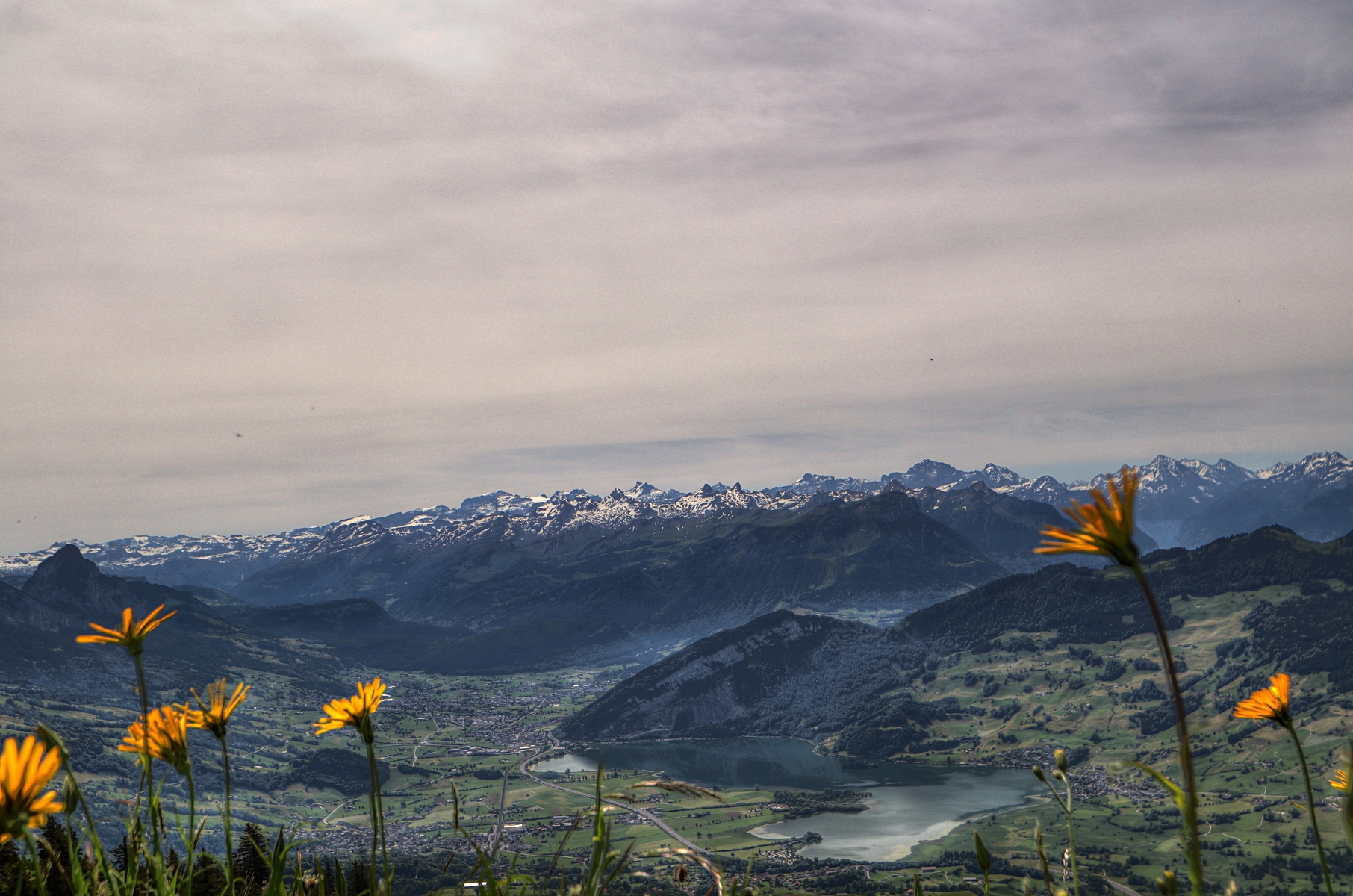 Goldau