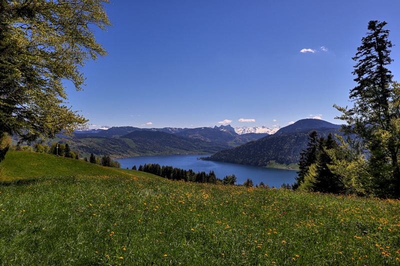 Aegerisee