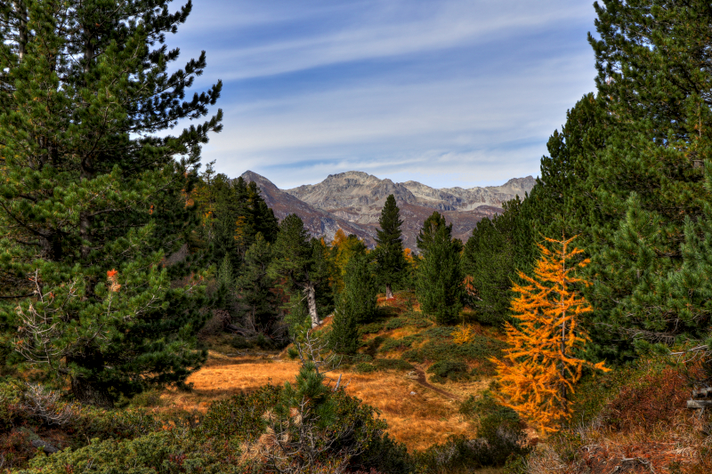 Monte del Forno